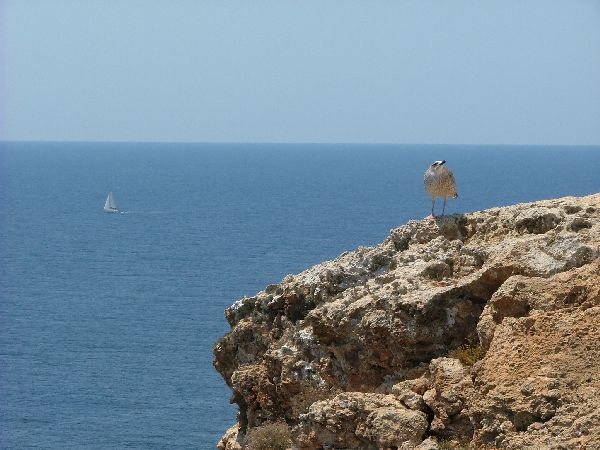 Una excursion por Formentera nos permite contemplar paisajes inolvidables. Esta isla, por sus reducidas dimensiones, puede ser recorrida en unas horas alquilando un scooter o bicicleta.