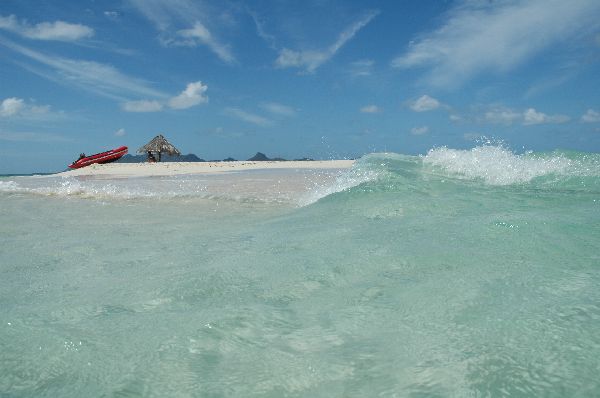 Posiblemente, una de las islas mas pequeñas del mundo: un círculo de arena de unos 80 m , una sombrilla de palma, y la luz del Caribe. Y seguro, una de las mas bonitas. Mopion, Grenadinas.
